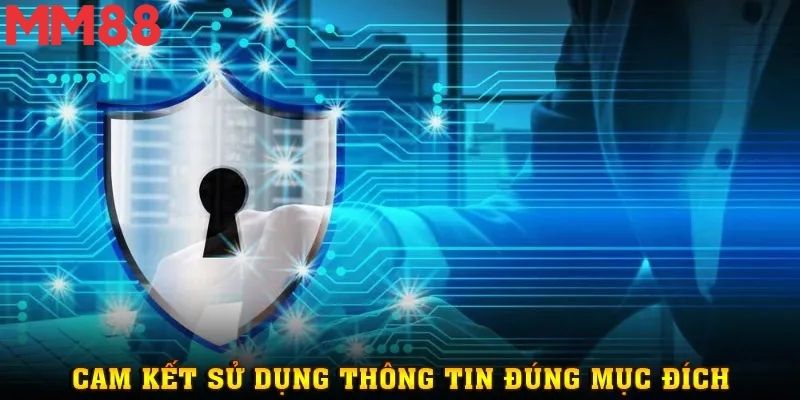 Quy trình xử lý dữ liệu với các bước kiểm soát rõ ràng